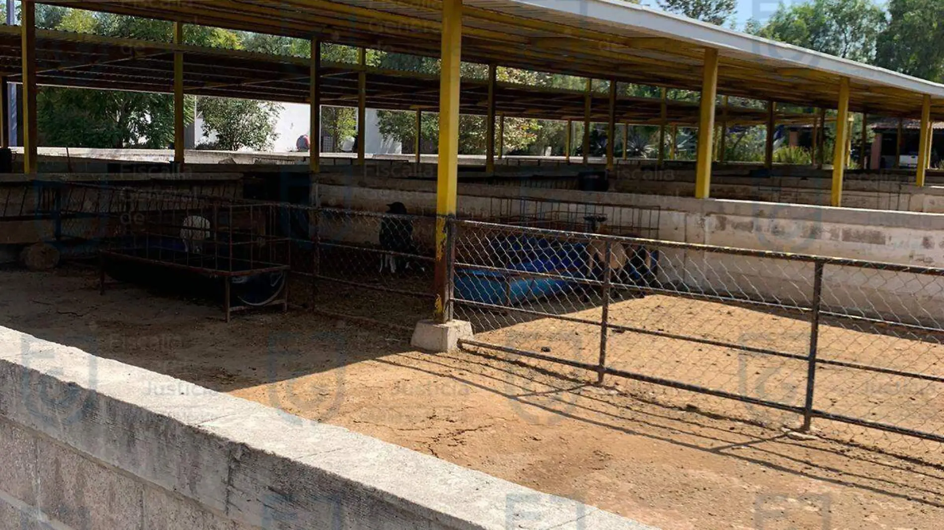 Aseguran rancho millonario propiedad de Felipe de Jesús “N”, ex titular de la SEDUVI